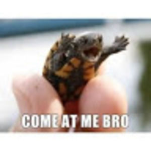 Meet your Posher, Rexter409